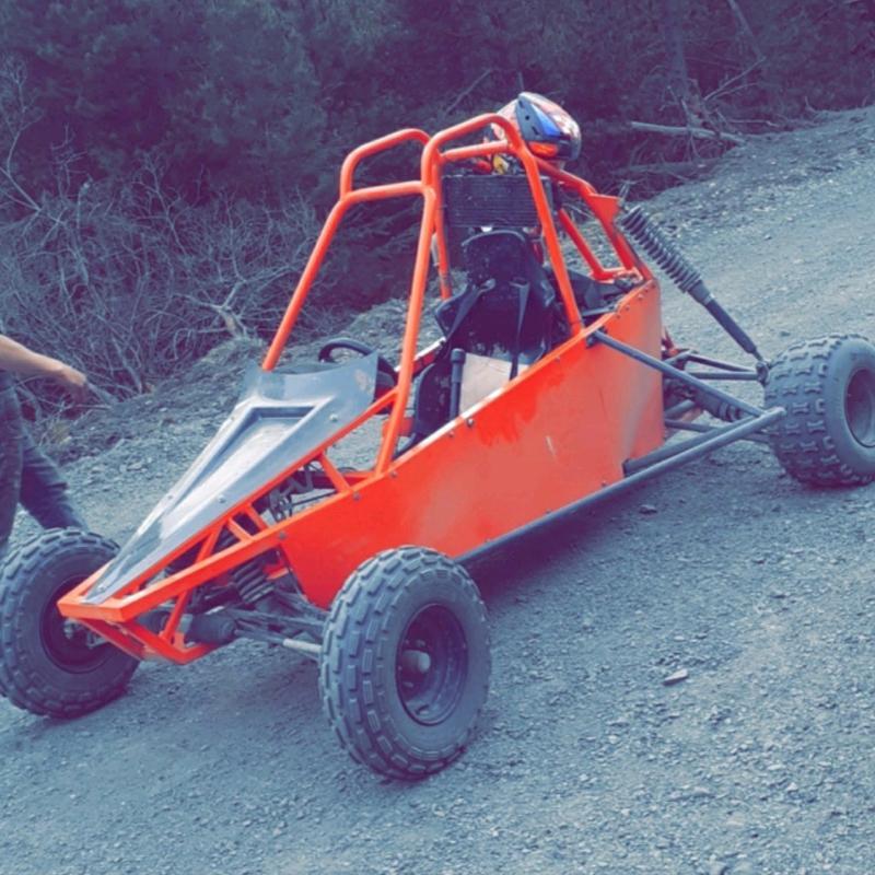 buggies for sale gumtree